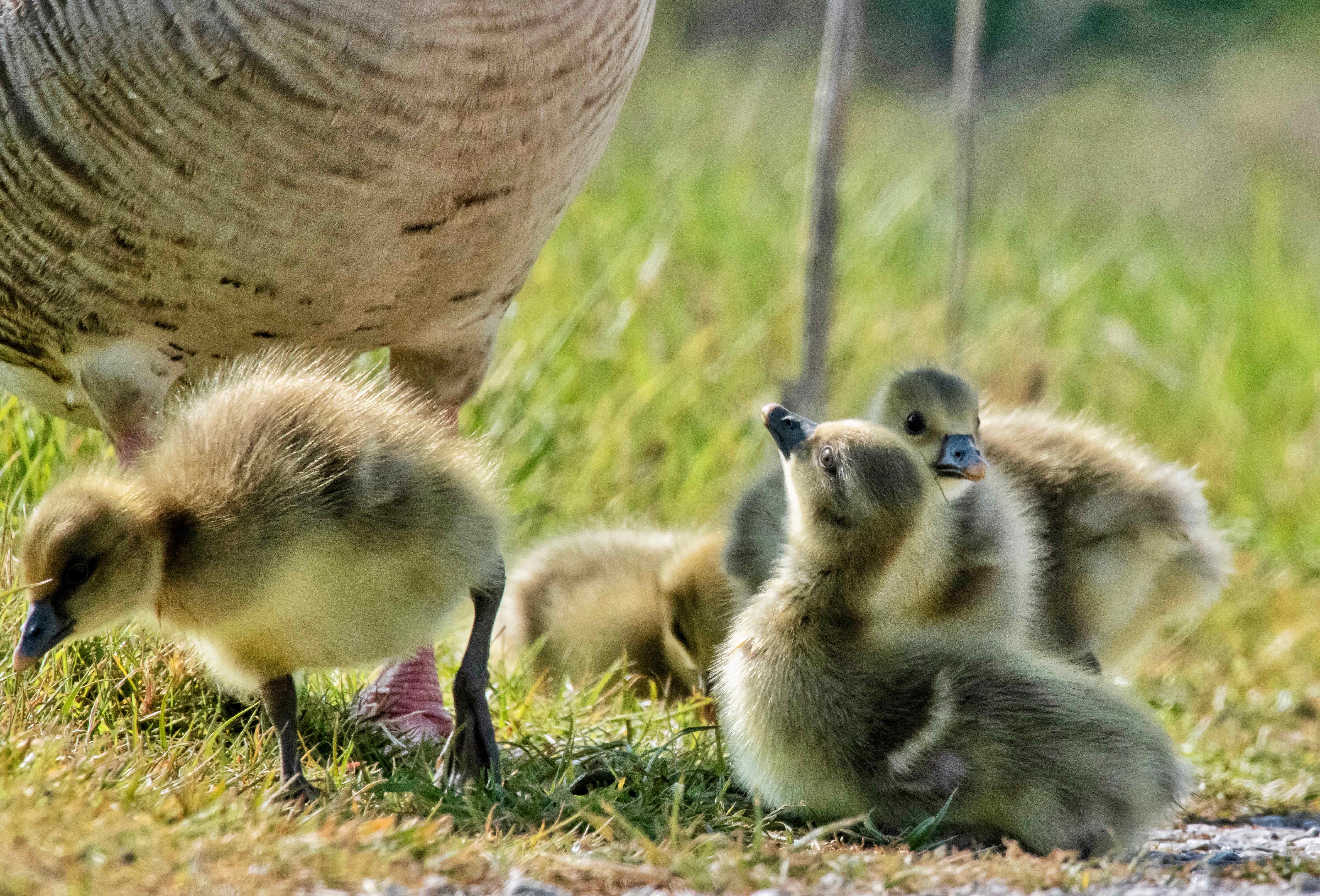 Easter Holidays in Yorkshire | Family-Friendly Easter Events & Activities