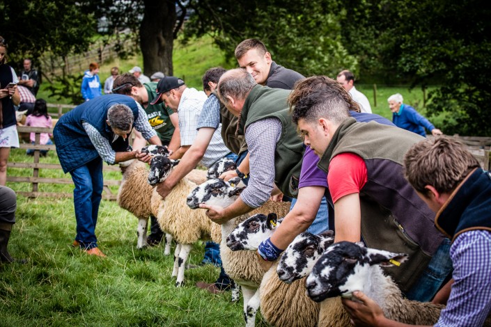 Farndale Show