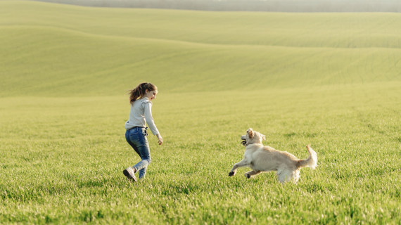 Browse our beautiful collection of Yorkshire holiday cottages